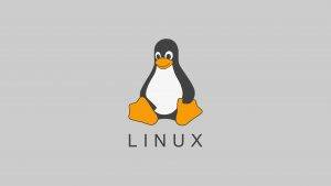 Linux df命令：显示磁盘空间使用情况-编程社