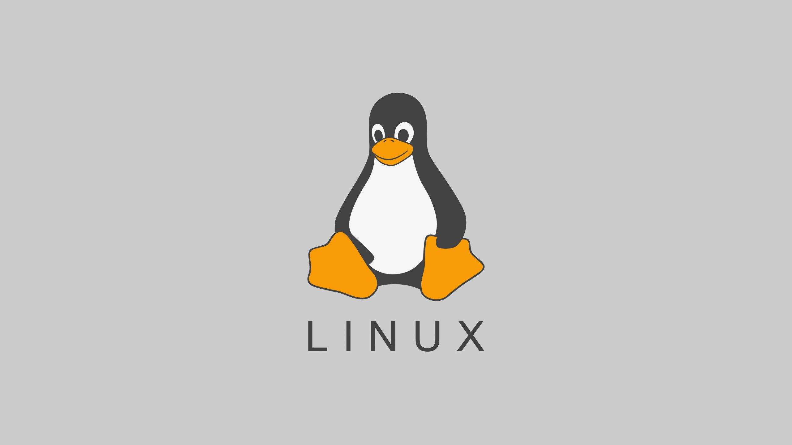 Linux less命令：用于分页显示文件内容-编程社