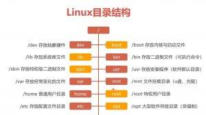 详细介绍Linux各目录-编程社