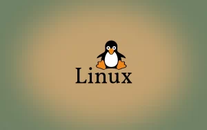 在Linux中如何使用命令行显示公网IP地址？-编程社