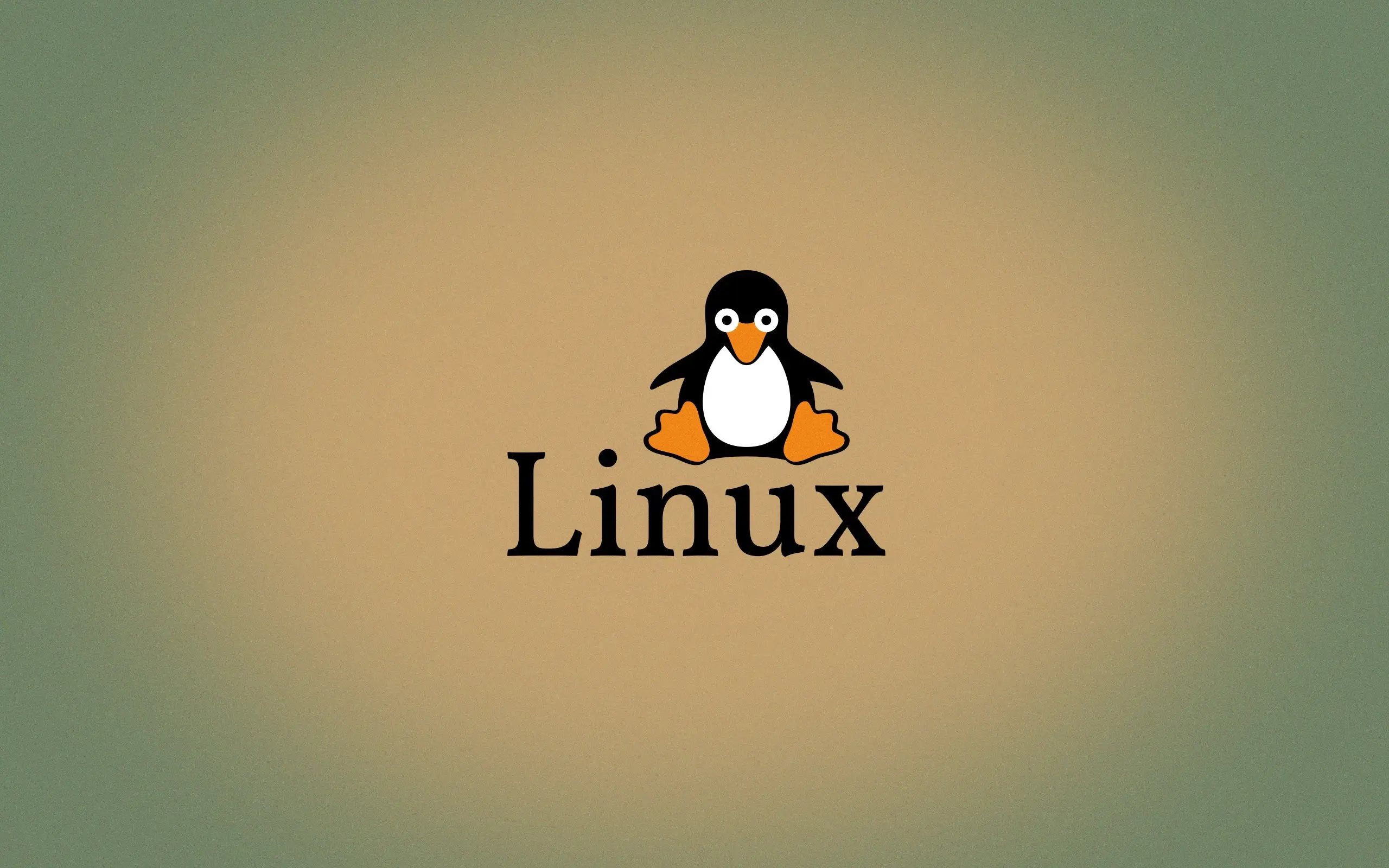 Linux系统如何测试硬盘读写性能-编程社