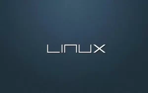 Linux操作系统性能调优都有哪几种方法？-编程社