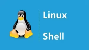 Linux Shell常用脚本大全-编程社