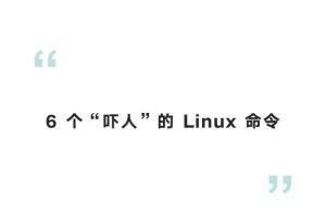 6 个“吓人”的 Linux 命令-编程社