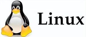 Linux中几种配置代理加速的方式-编程社