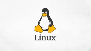 什么是Linux环境变量，有哪些作用？-编程社