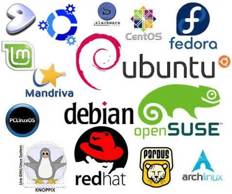 常见的Linux发行版都有哪些，推荐六个各具特色的发行版！-编程社
