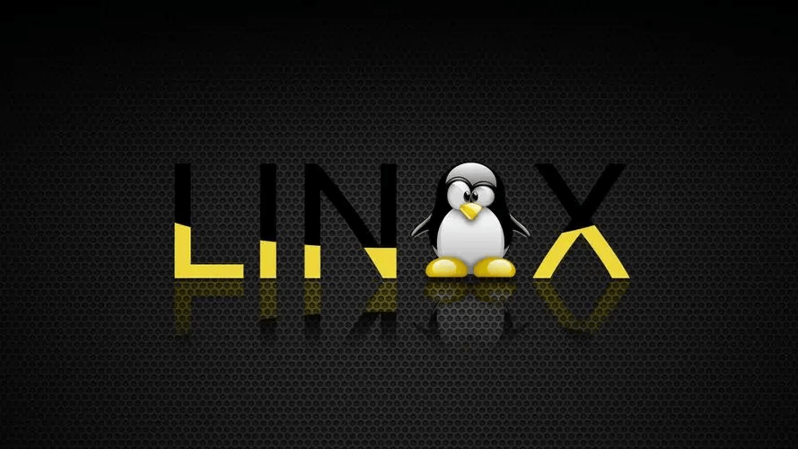 Linux文件和目录相关常用命令大全-编程社