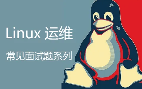 Linux系统工作面试要掌握的命令-编程社