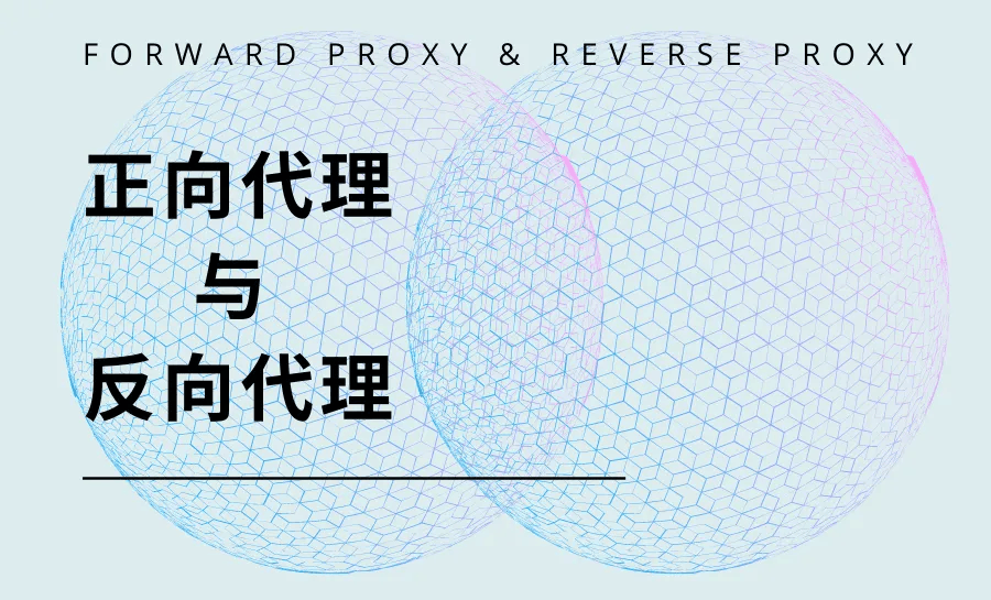 正反向代理服务有什么作用，有哪些区别？-编程社