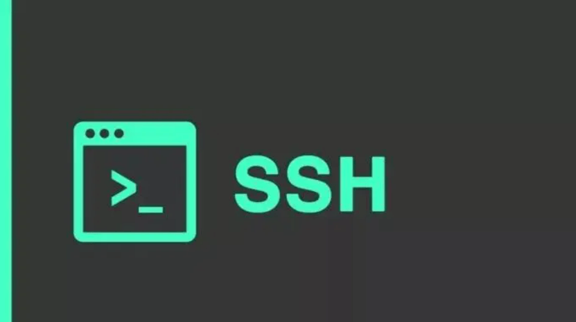 图片[2]-什么是FTP、SSH、NFS-编程社