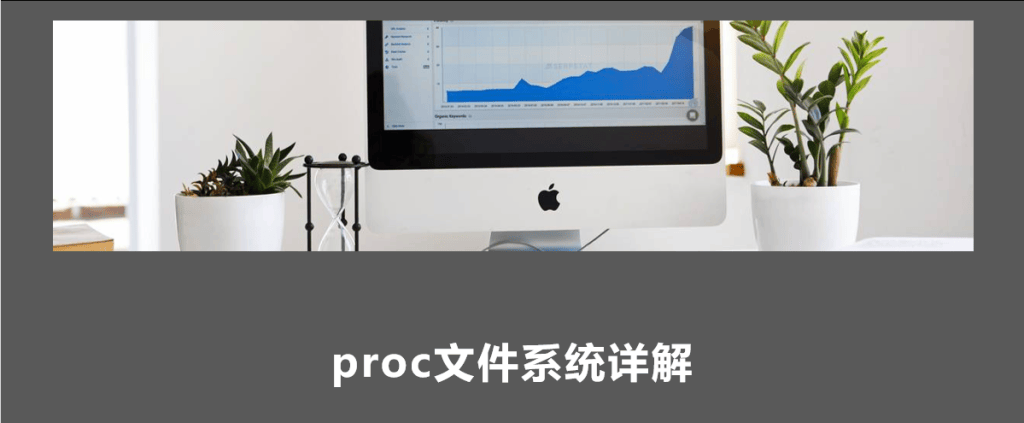 Linux Proc文件系统详解-编程社