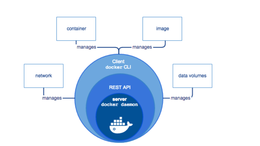 Docker架构主要包含什么以及周边生态详解-编程社