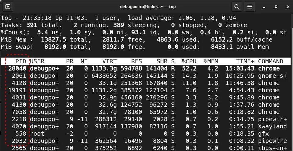 如何在Linux中找到一个进程ID,并杀死它-编程社