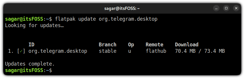 图片[2]-在Linux中更新Flatpak软件包详细教程-编程社