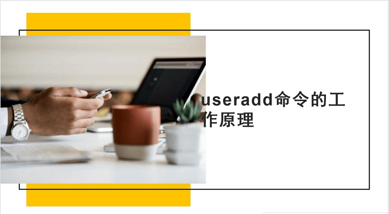 用户管理（拓展内容）：​useradd命令的工作原理详解-编程社