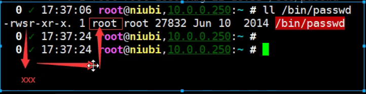 图片[2]-Linux权限管理：特殊权限详解-编程社