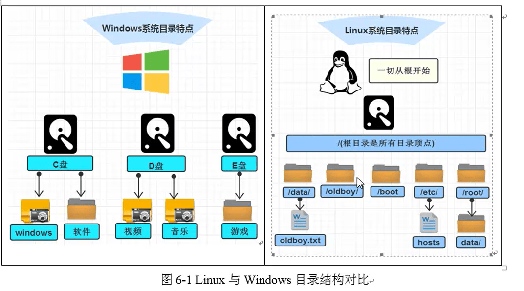 Linux文件管理|系统目录结构详解-编程社