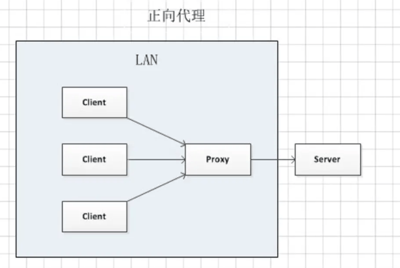 什么是正向代理，有什么作用(正向代理使用场景有哪些)-编程社