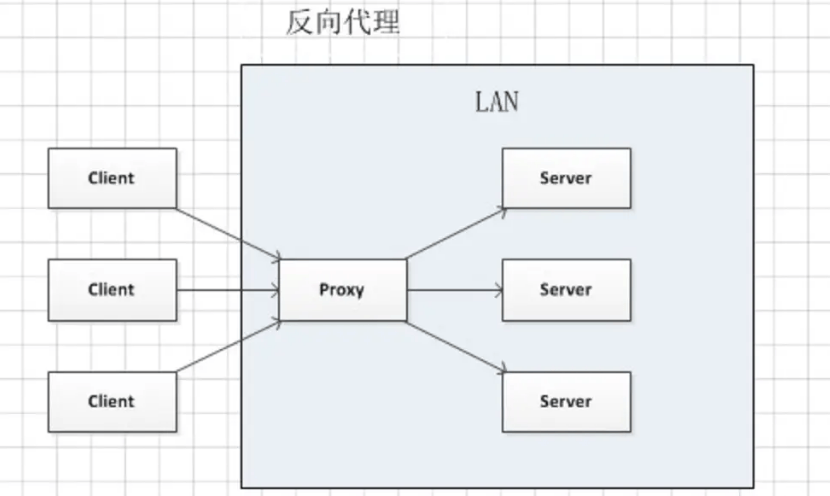 什么是反向代理，有什么作用(反向代理使用场景有哪些)-编程社