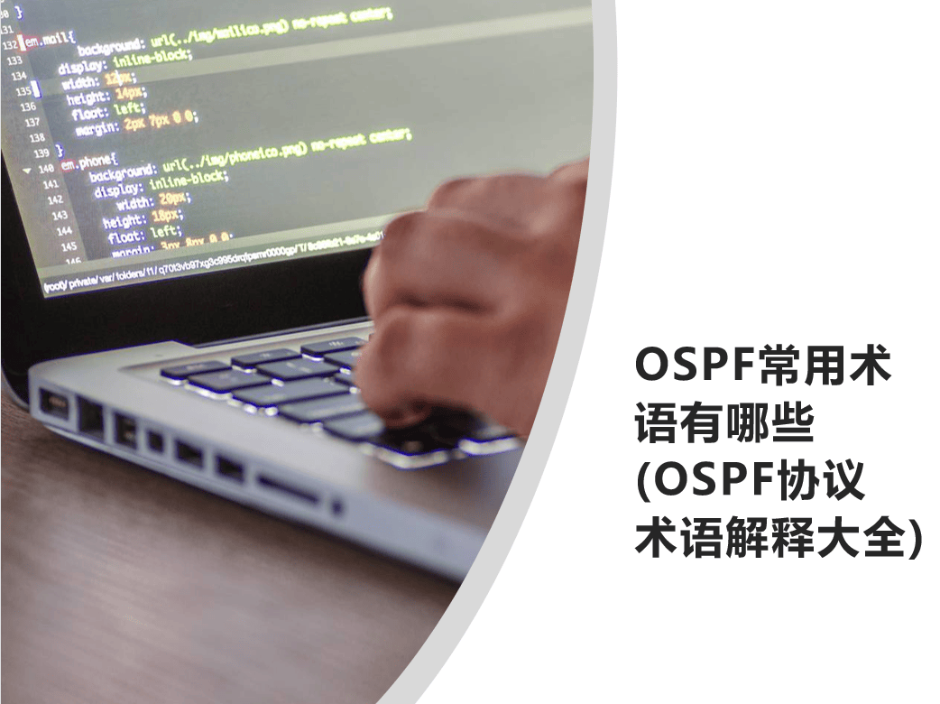 OSPF常用术语有哪些(OSPF协议术语解释大全)-编程社