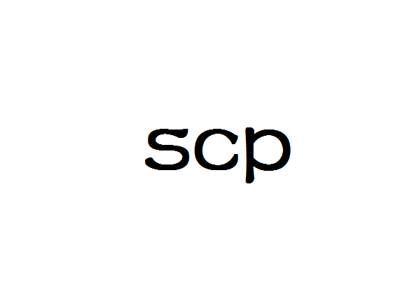 Linux scp命令详解(scp命令的基本语法及示例)-编程社