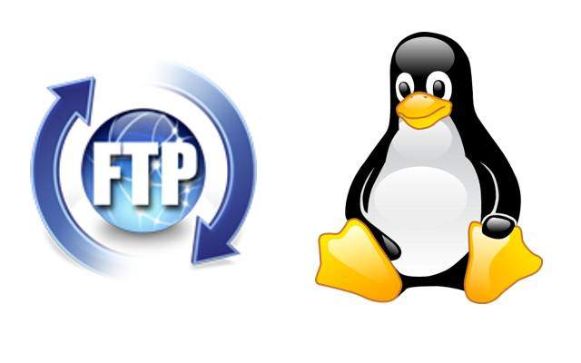 Linux如何查看ftp端口(Linux FTP端口的方法)-编程社