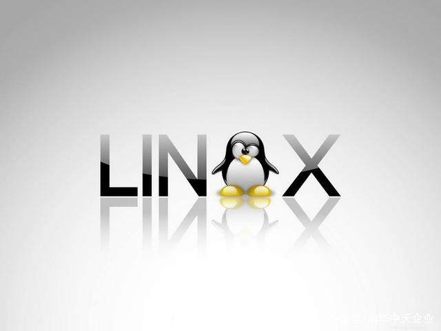 Linux服务器查看内存型号(查看内存型号详细信息命令)-编程社