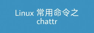 Linux chattr命令详解(chattr命令：如何保护文件？)-编程社