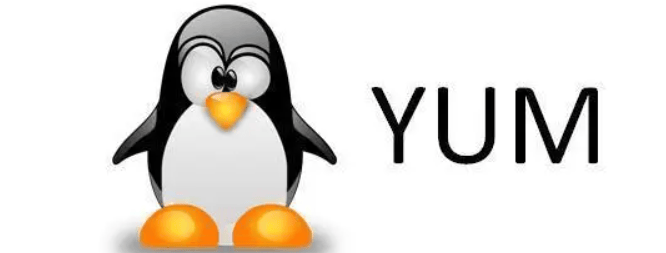 Linux yum命令详解(linux清除yum缓存命令)-编程社