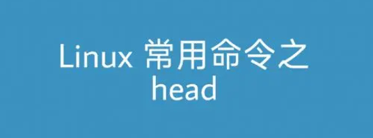 Linux head命令详解(Linux命令：查看文件头部内容)-编程社