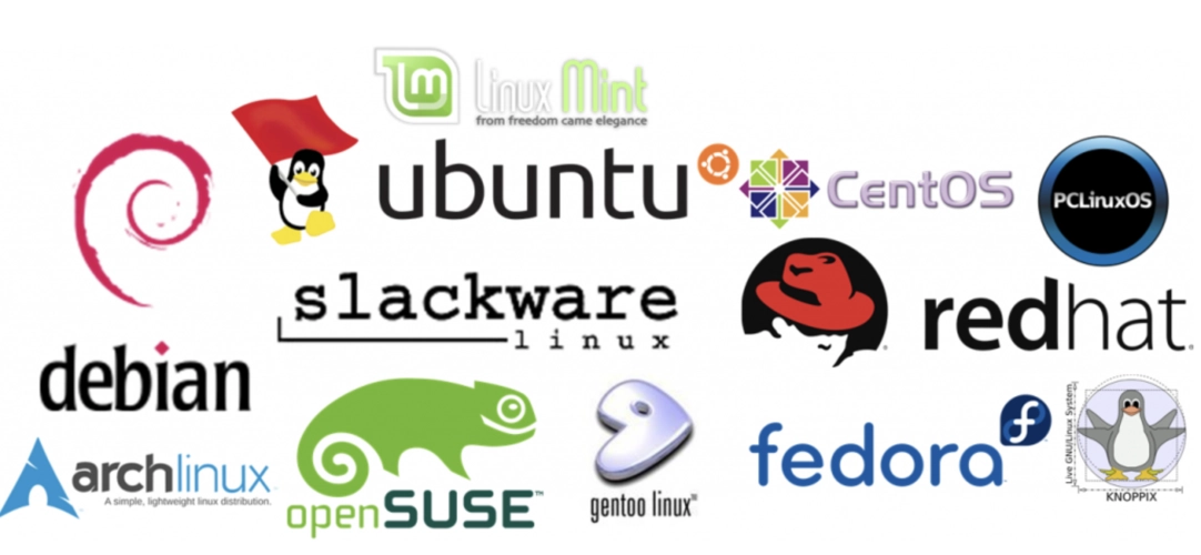 Linux系统有哪些(最常用的Linux发行版)-编程社