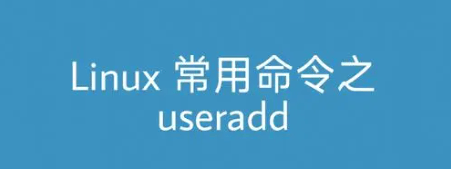 Linux useradd命令详解(Linux添加用户命令useradd和相关选项使用方法)-编程社