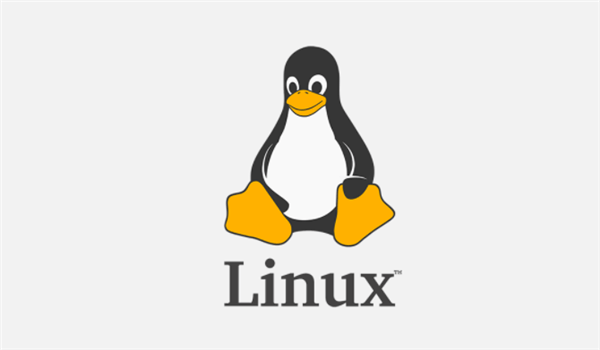 Linux更改ip地址命令教程详解(Linux更改ip地址方法有哪些)-编程社