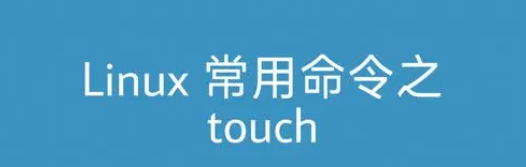 Linux touch命令详解(如何使用linux中的touch命令创建文件？)-编程社