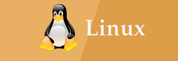 Linux bin是什么文件(解释Linux中的bin文件)-编程社