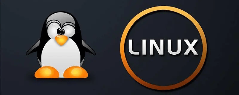 Linux删除文件目录命令(Linux如何删除一个文件或目录)-编程社