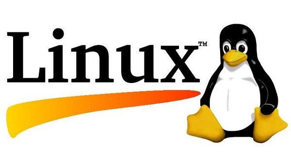 什么是Linux单用户模式(Linux单用户模式简介)-编程社