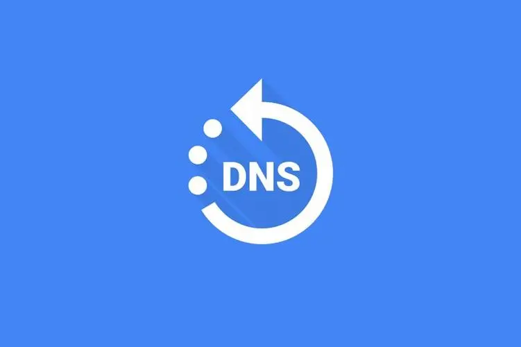 Linux DNS服务器未响应(dns网络服务器未响应是什么原因)-编程社