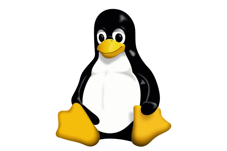 Linux xargs命令详解(深入了解Linux命令xargs)-编程社