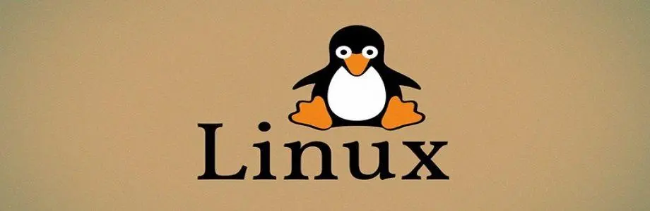 Linux如何查看Tomcat进程(Linux查看Tomcat进程命令)-编程社