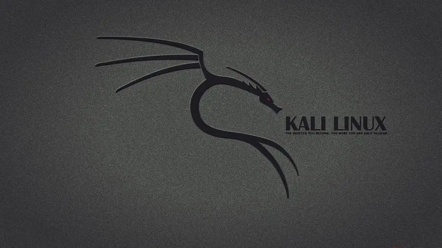 kali Linux如何安装kde(Kali Linux KDE安装指南)-编程社