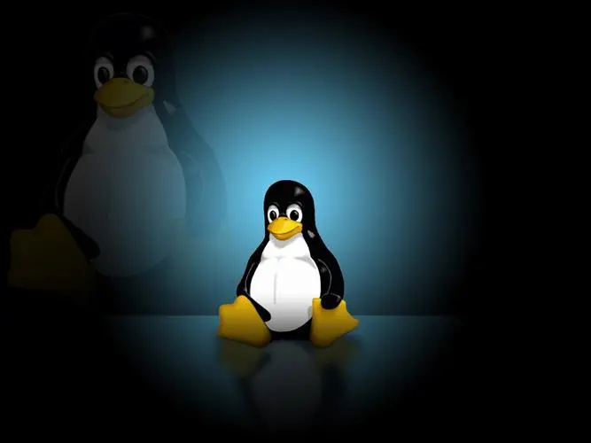 Linux自动补全历史命令(Linux命令自动补全技巧详解)-编程社