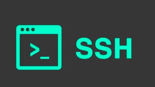 如何在Linux安装ssh(Linux系统如何安装SSH服务)-编程社