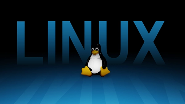 嵌入式Linux查看文件系统版本(嵌入式Linux文件系统版本查询方法)-编程社