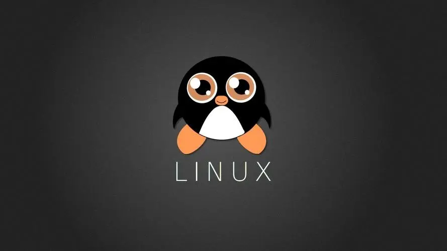 Linux创建磁盘分区命令详解(如何给Linux硬盘分区)-编程社