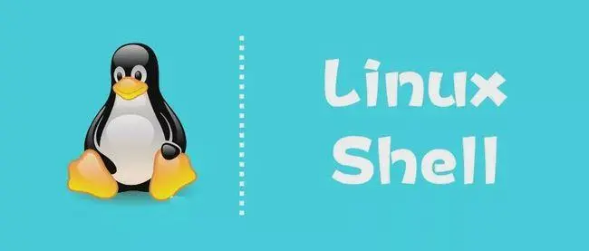 Linux用脚本查询日期(Linux查询时间脚本)-编程社