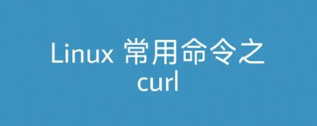 Linux curl命令详解(curl命令的常用选项及解释)-编程社