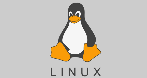 如何修复Linux文件系统(Linux文件系统修复步骤教程)-编程社