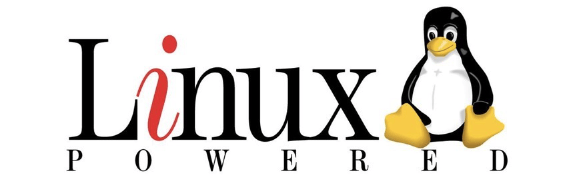 如何查看Linux硬件信息(Linux硬件信息查询方法)-编程社